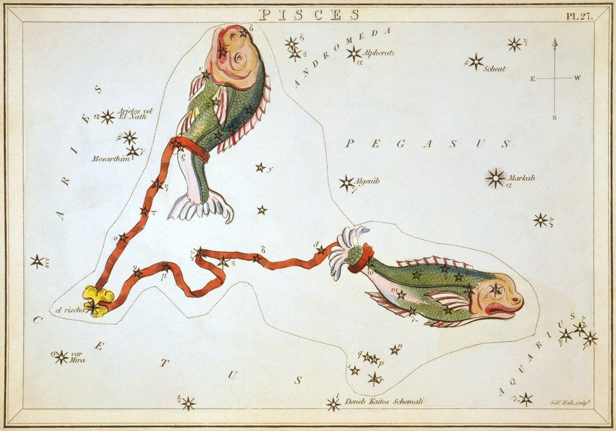 Pisces, from Urania's Mirror (Sidney Hall, 1824)