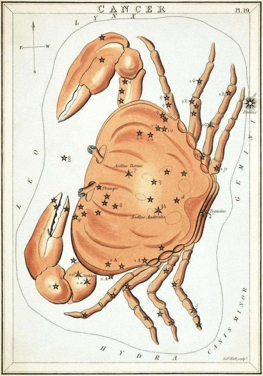 Cancer, from Urania's Mirror (Sidney Hall, 1824)