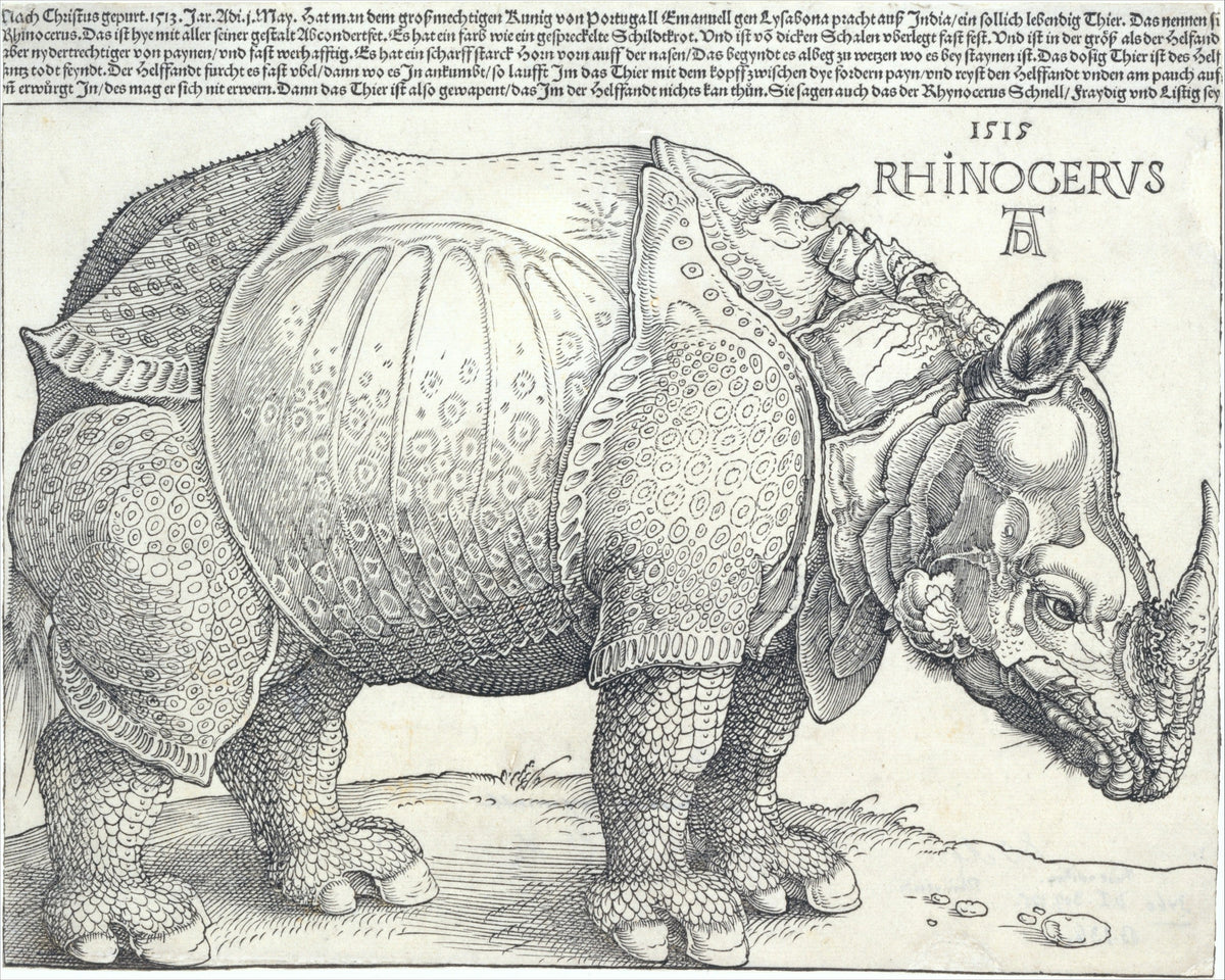 Albrecht Dürer, The Rhinoceros, 1515