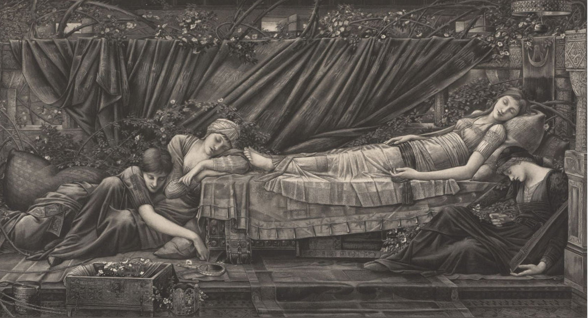 The Rose Bower: The Kiss That Never Comes