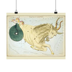 Sidney Hall 'Capricorn' Poster