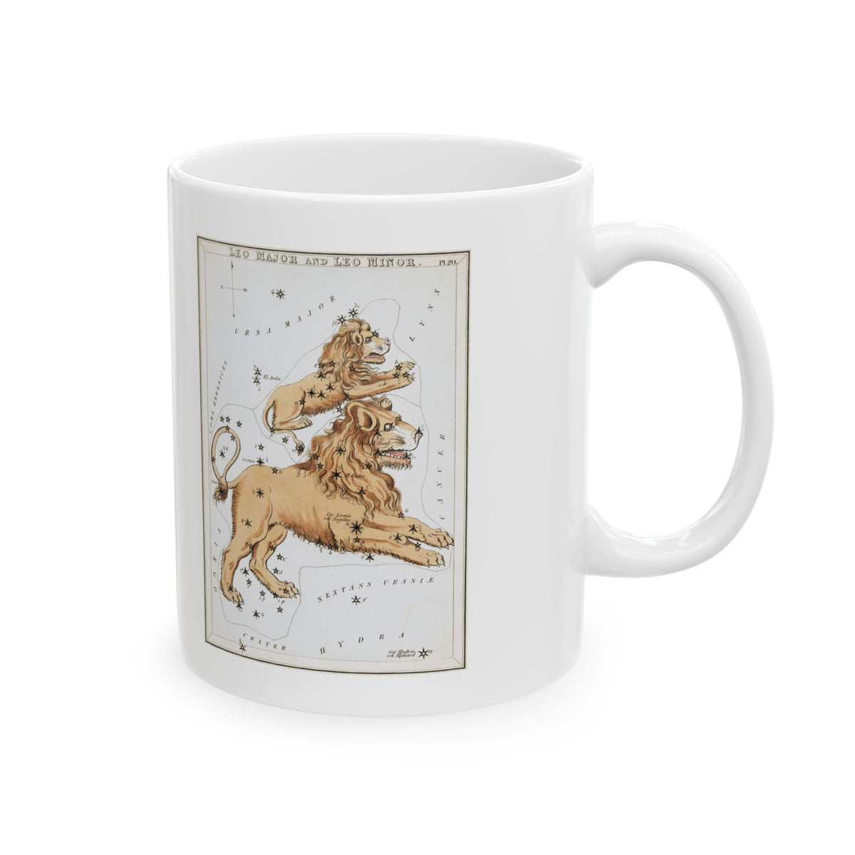 Leo Zodiac Mug