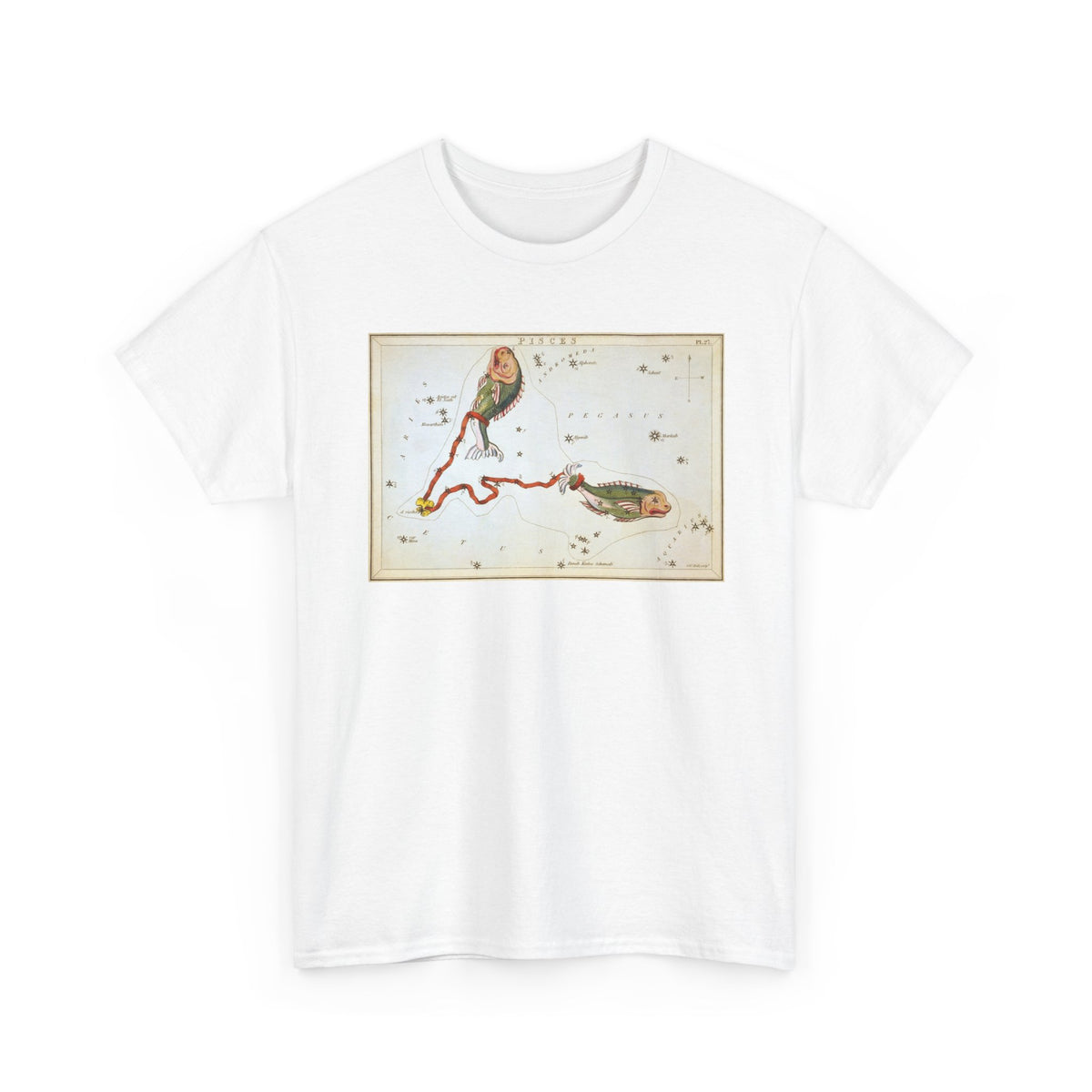Pisces Zodiac Shirt