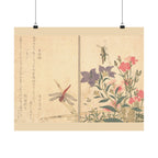 Kitagawa Utamaro 'Red Dragonfly and Locust' Poster