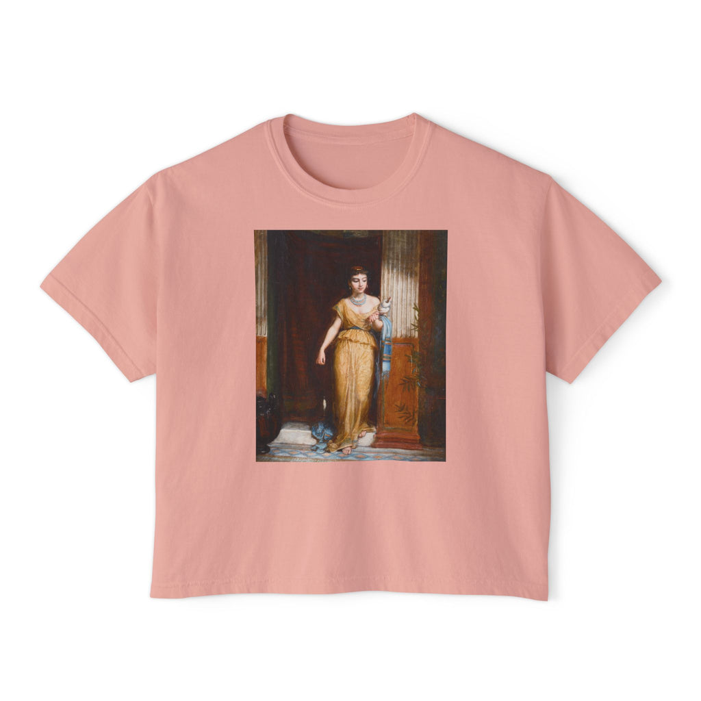 The Spinner Boxy Tee