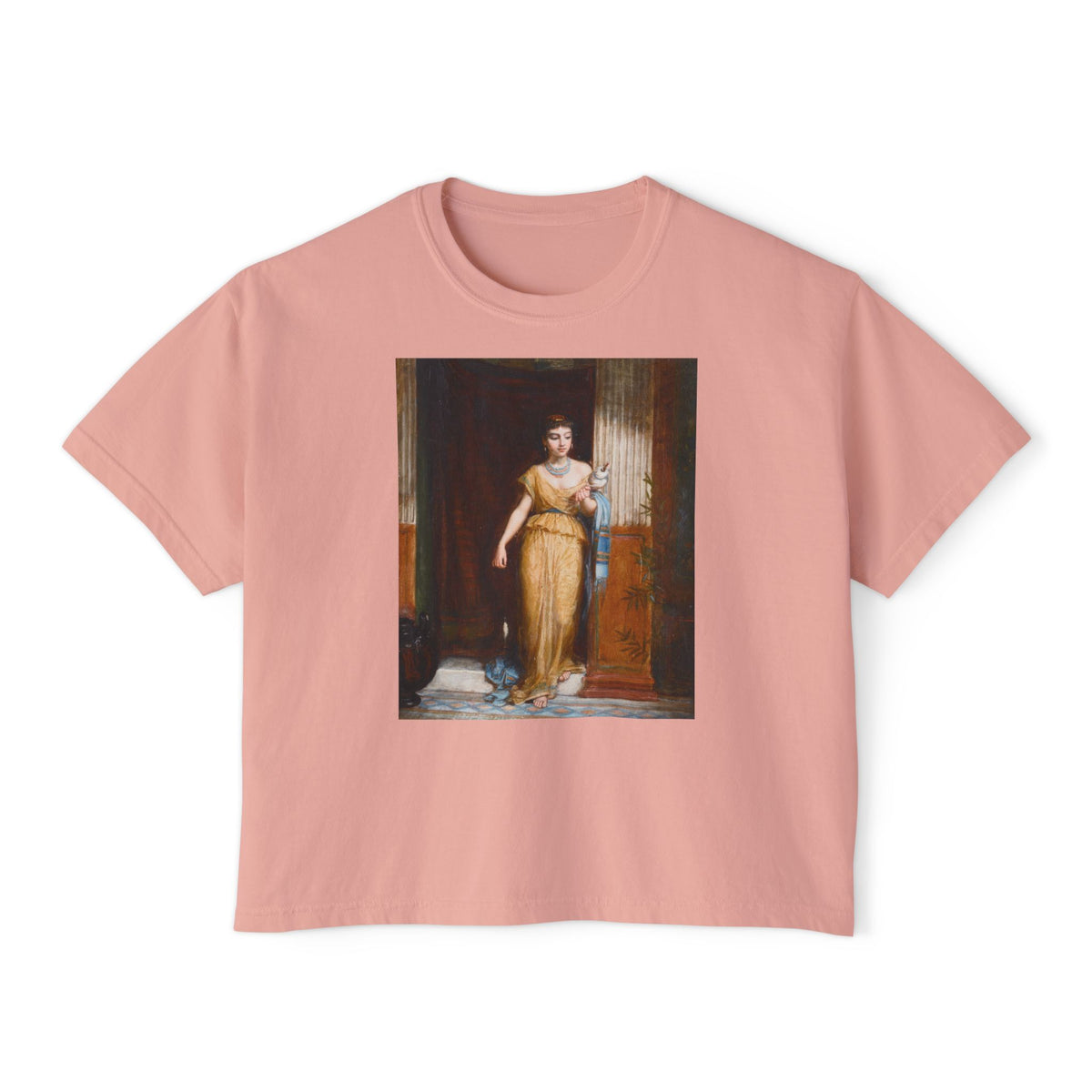 The Spinner Boxy Tee