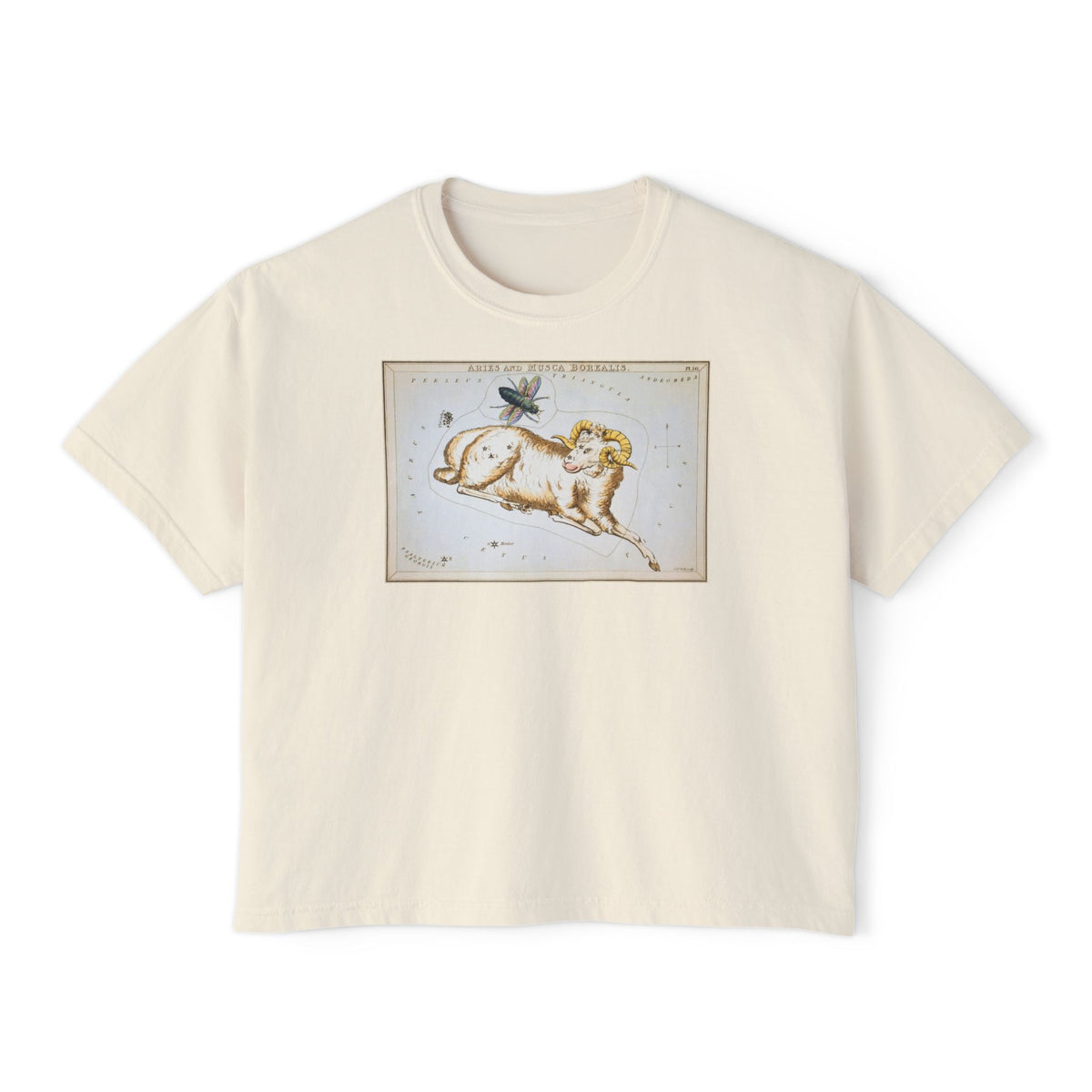 Aries Zodiac Boxy Tee