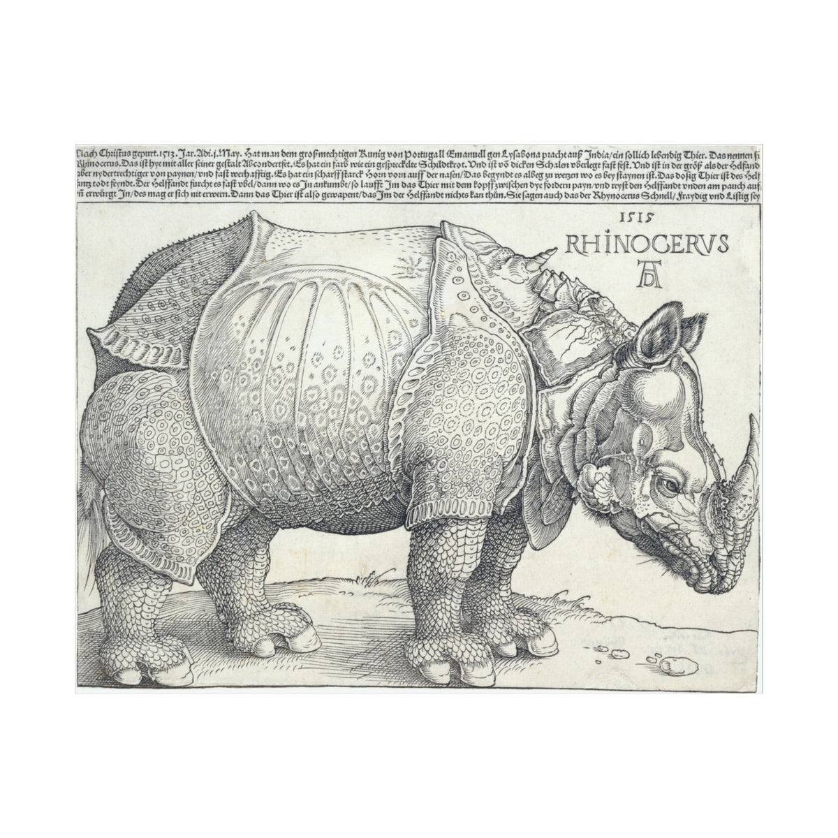 Albrecht Dürer 'The Rhinoceros' Poster