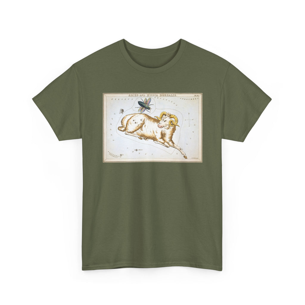 Aries Zodiac Shirt