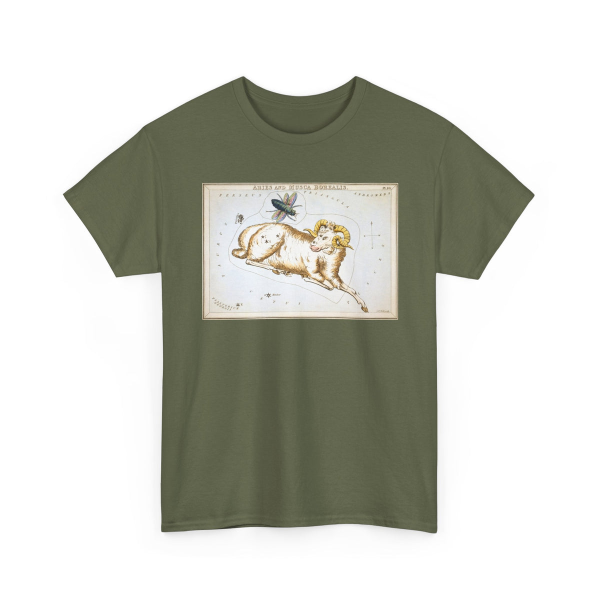 Aries Zodiac Shirt