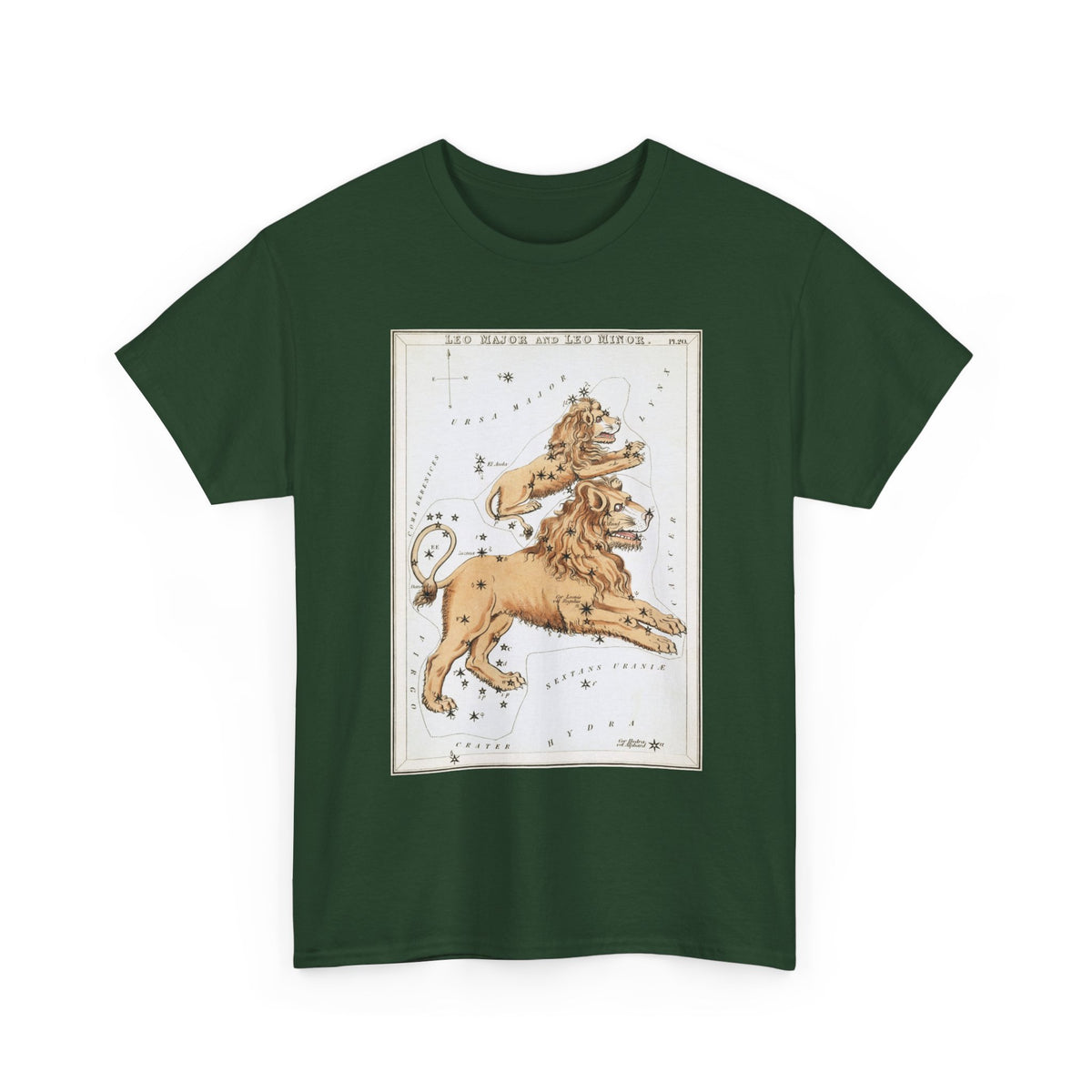 Leo Zodiac Shirt