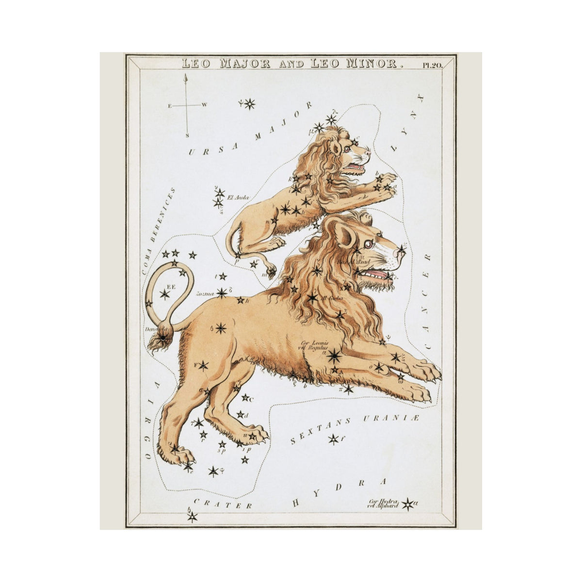 Sidney Hall 'Leo' Poster