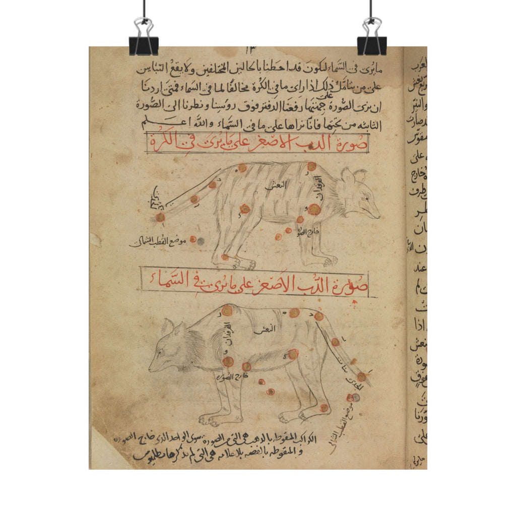 al-Sufi 'Book of the Images of the Fixed Stars' Poster