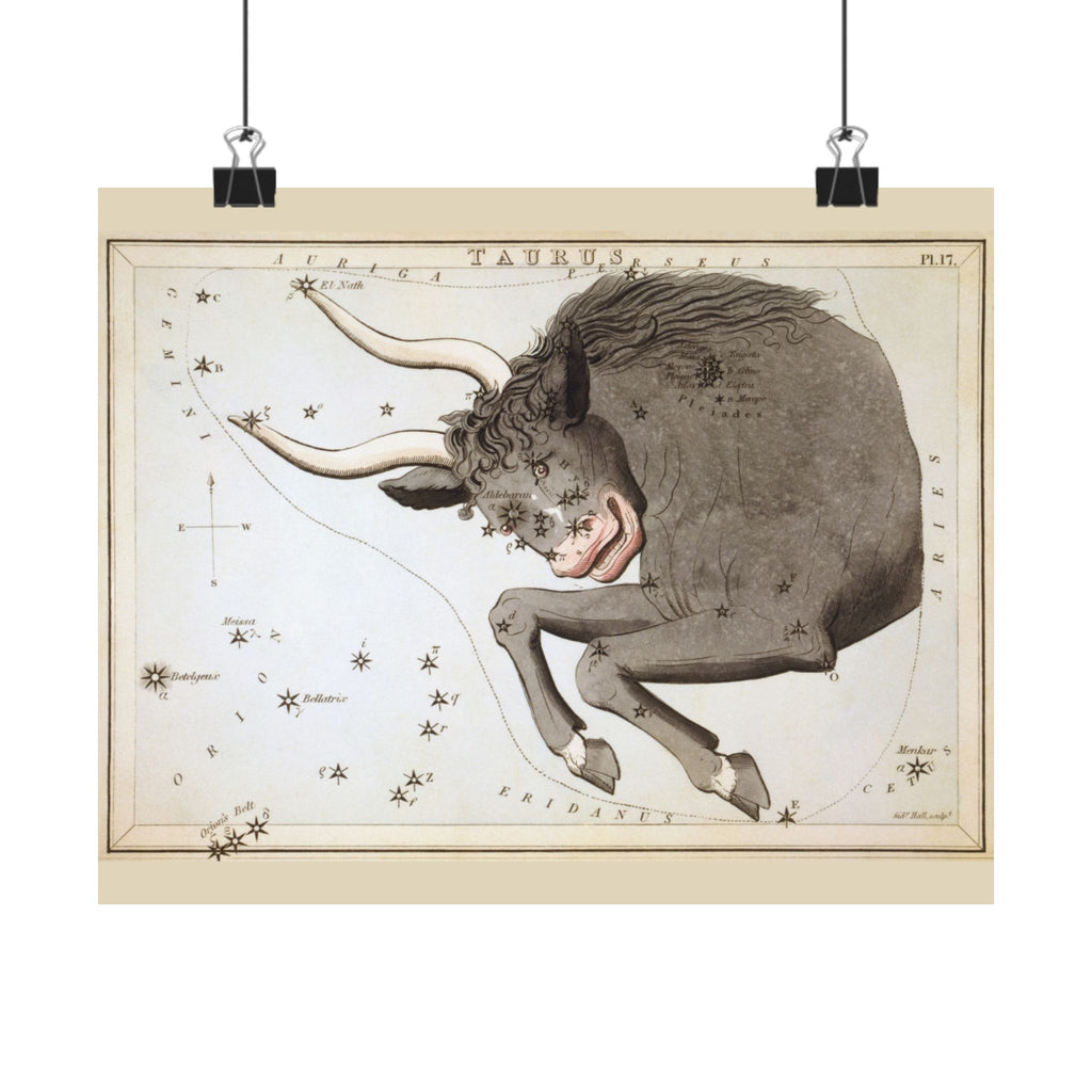 Sidney Hall 'Taurus' Poster