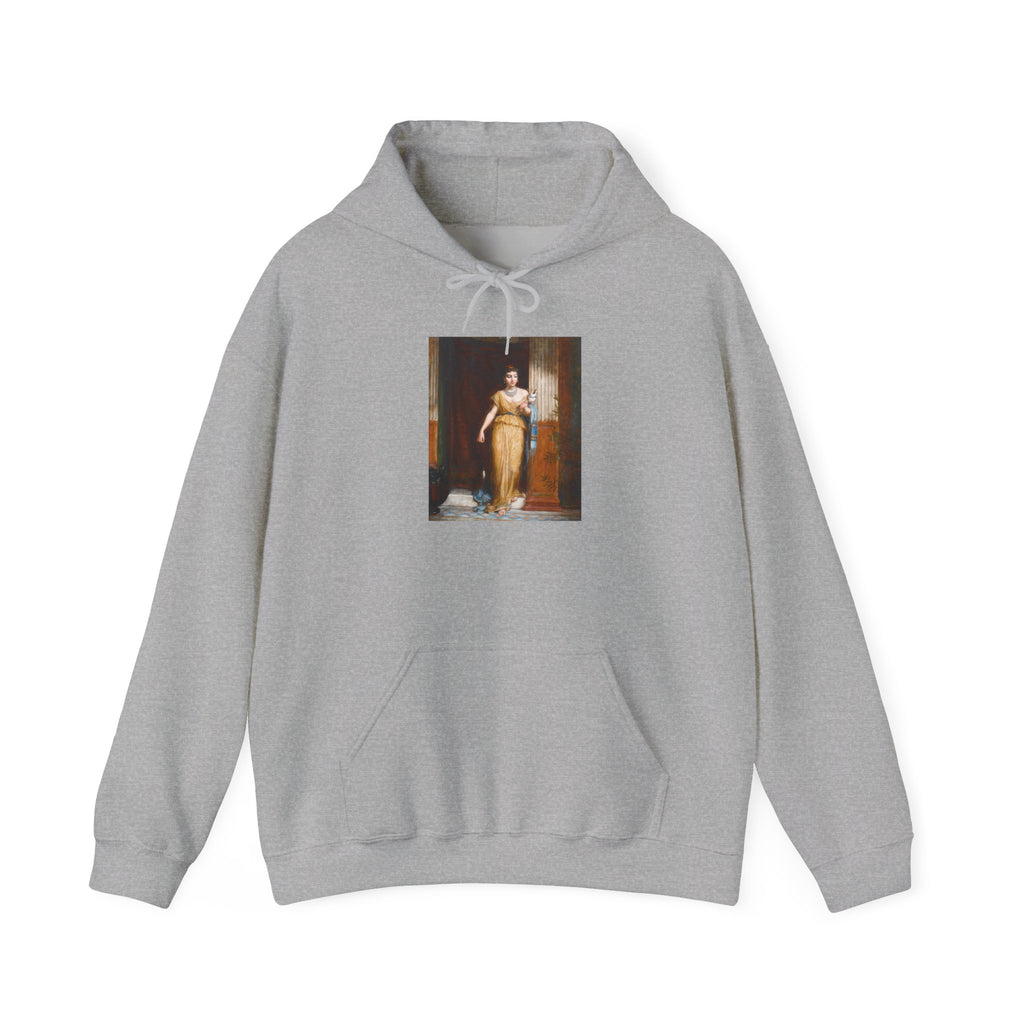 The Spinner Hoodie