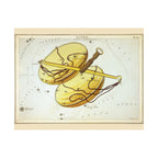 Sidney Hall 'Libra' Poster