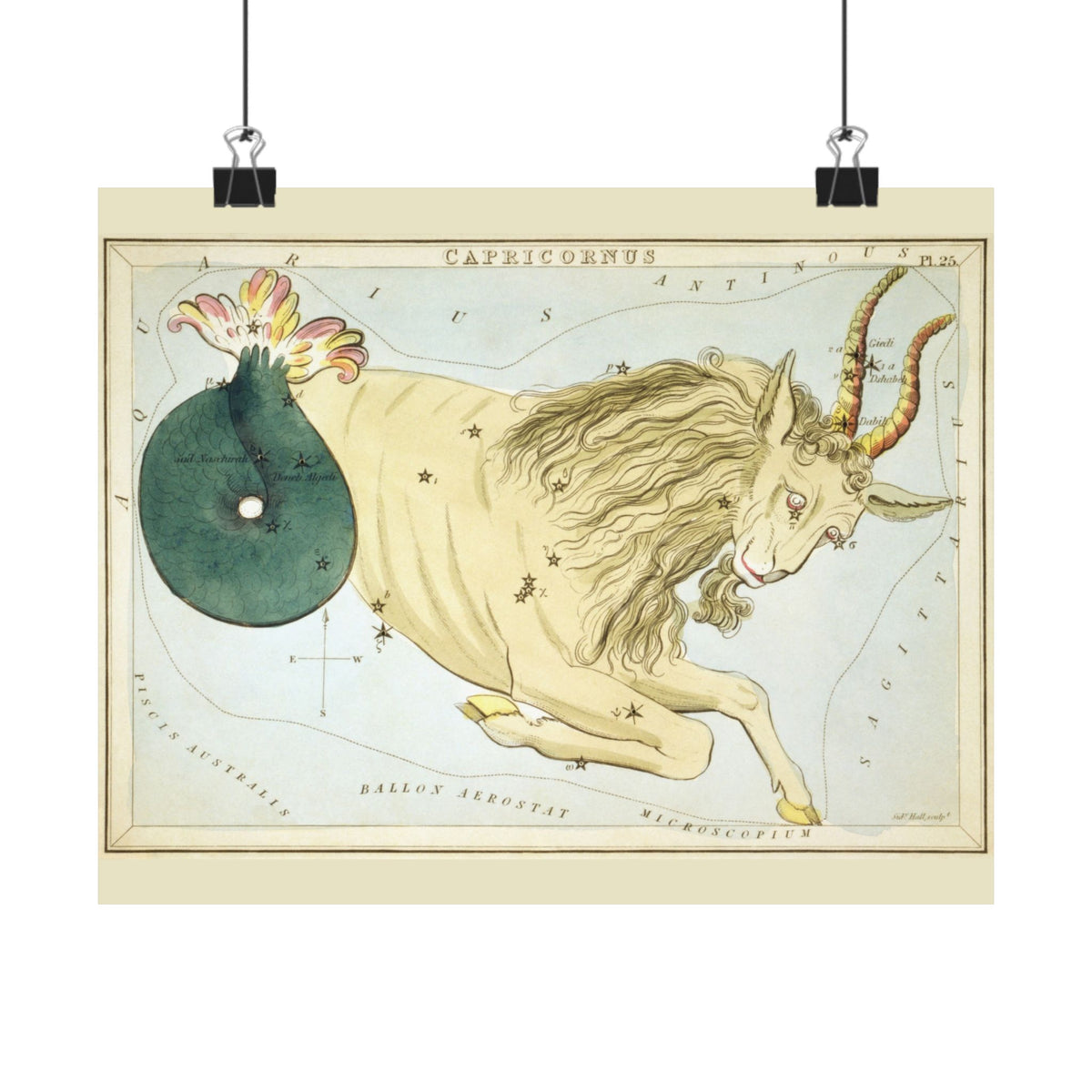 Sidney Hall 'Capricorn' Poster