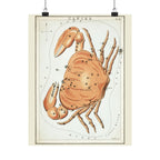 Sidney Hall 'Cancer' Poster