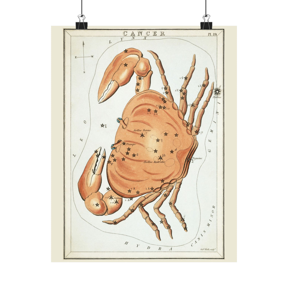 Sidney Hall 'Cancer' Poster