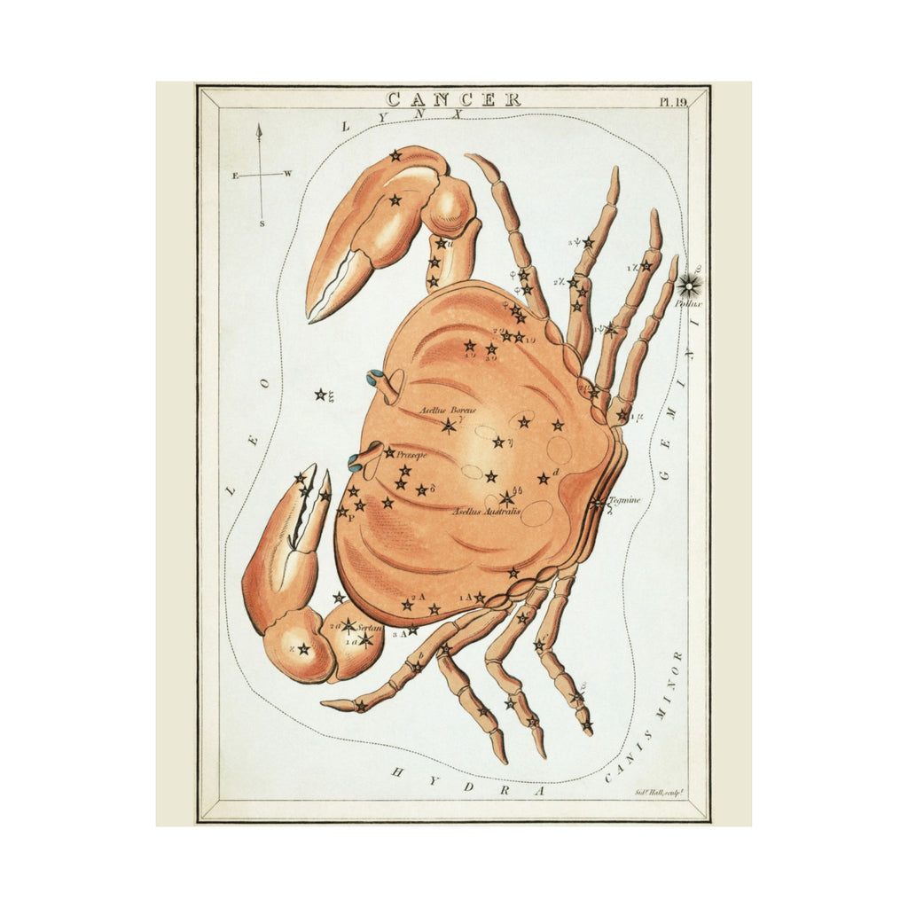 Sidney Hall 'Cancer' Poster