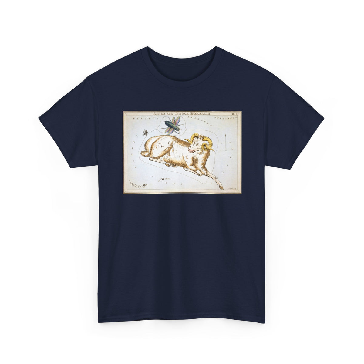 Aries Zodiac Shirt