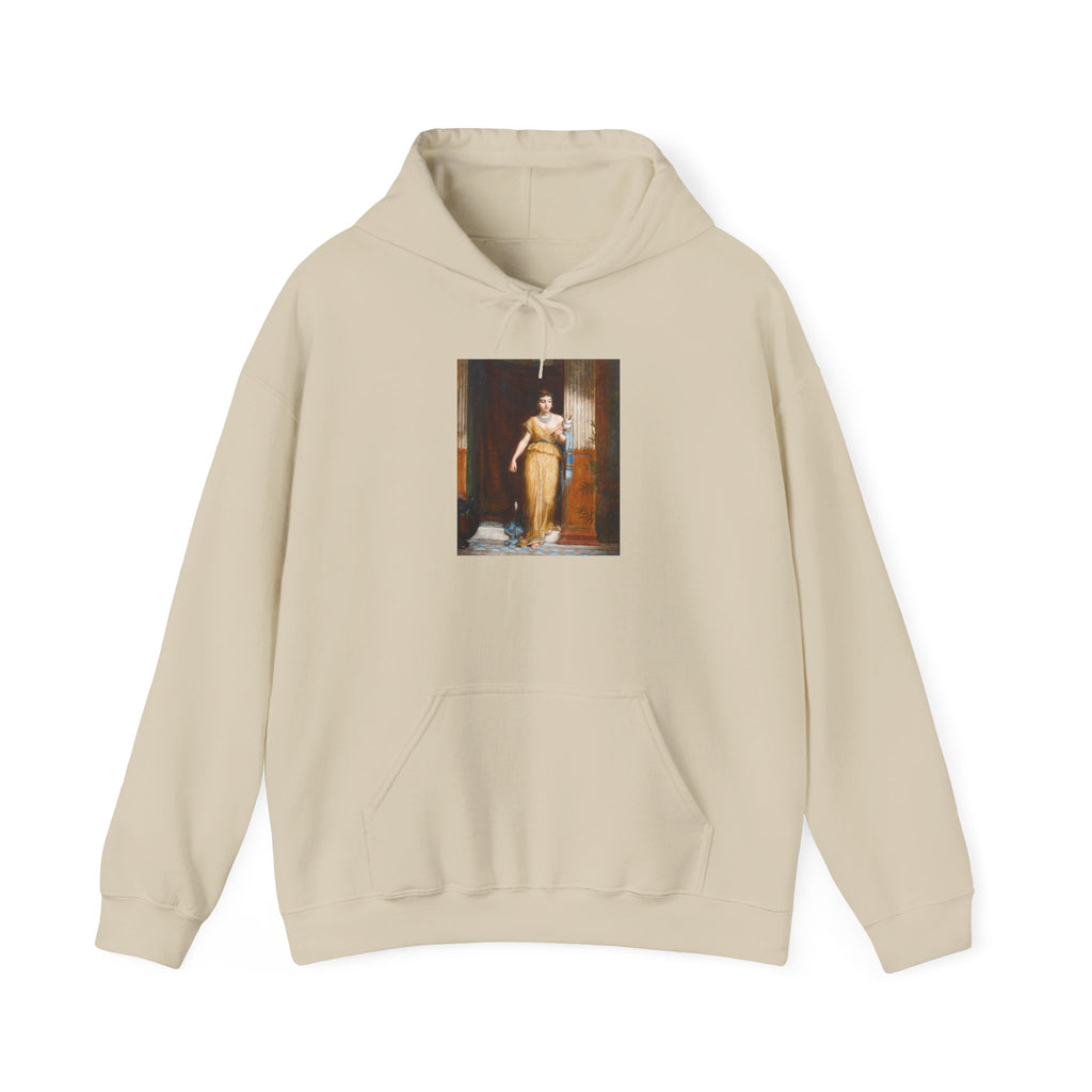 The Spinner Hoodie