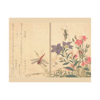 Kitagawa Utamaro 'Red Dragonfly and Locust' Poster