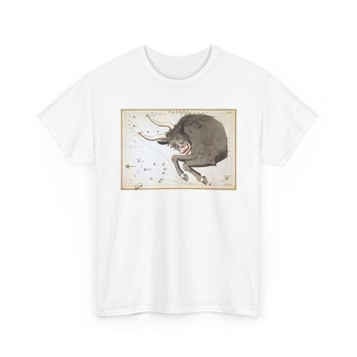 Taurus Zodiac Shirt