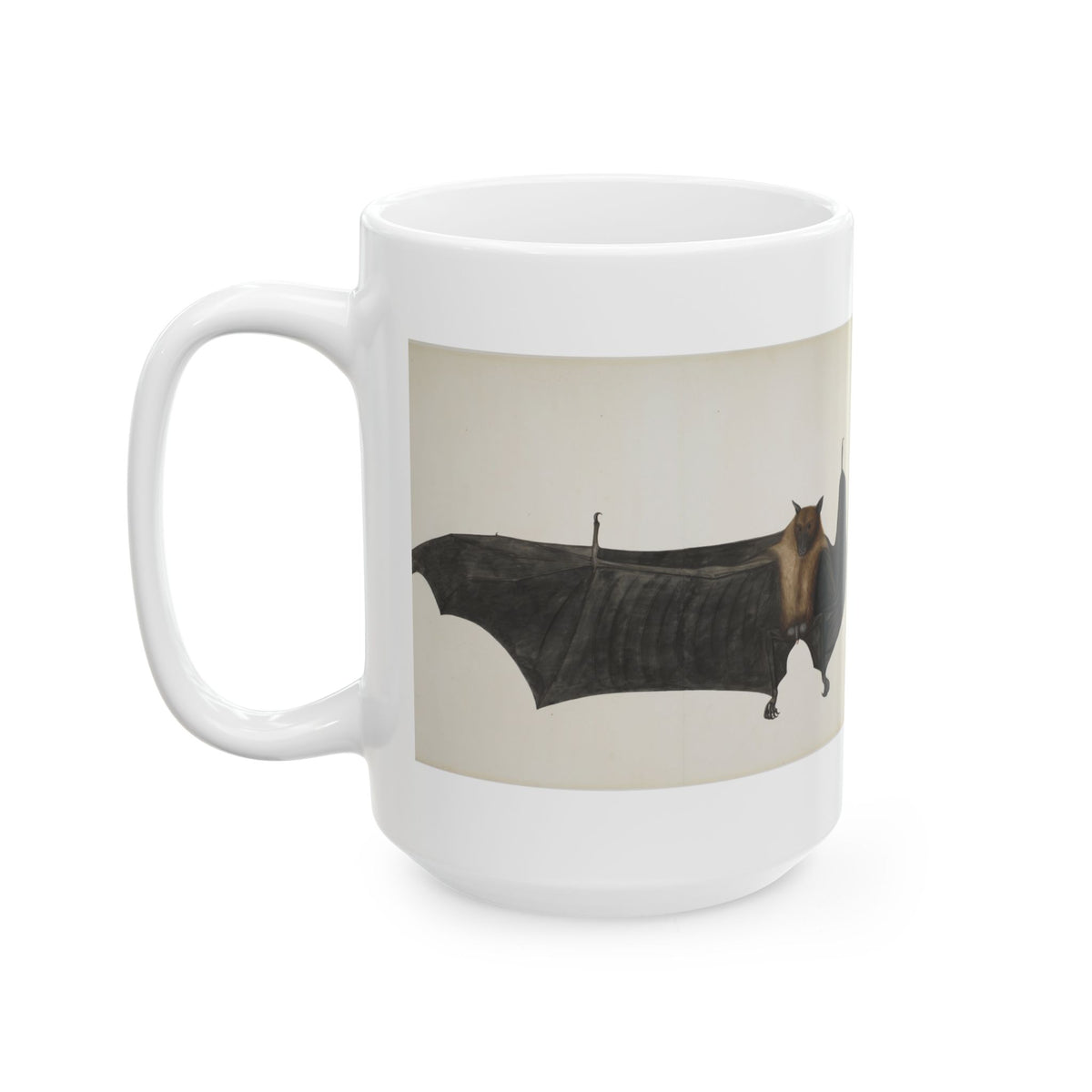 Bhawani Das 'Great Indian Fruit Bat' Mug