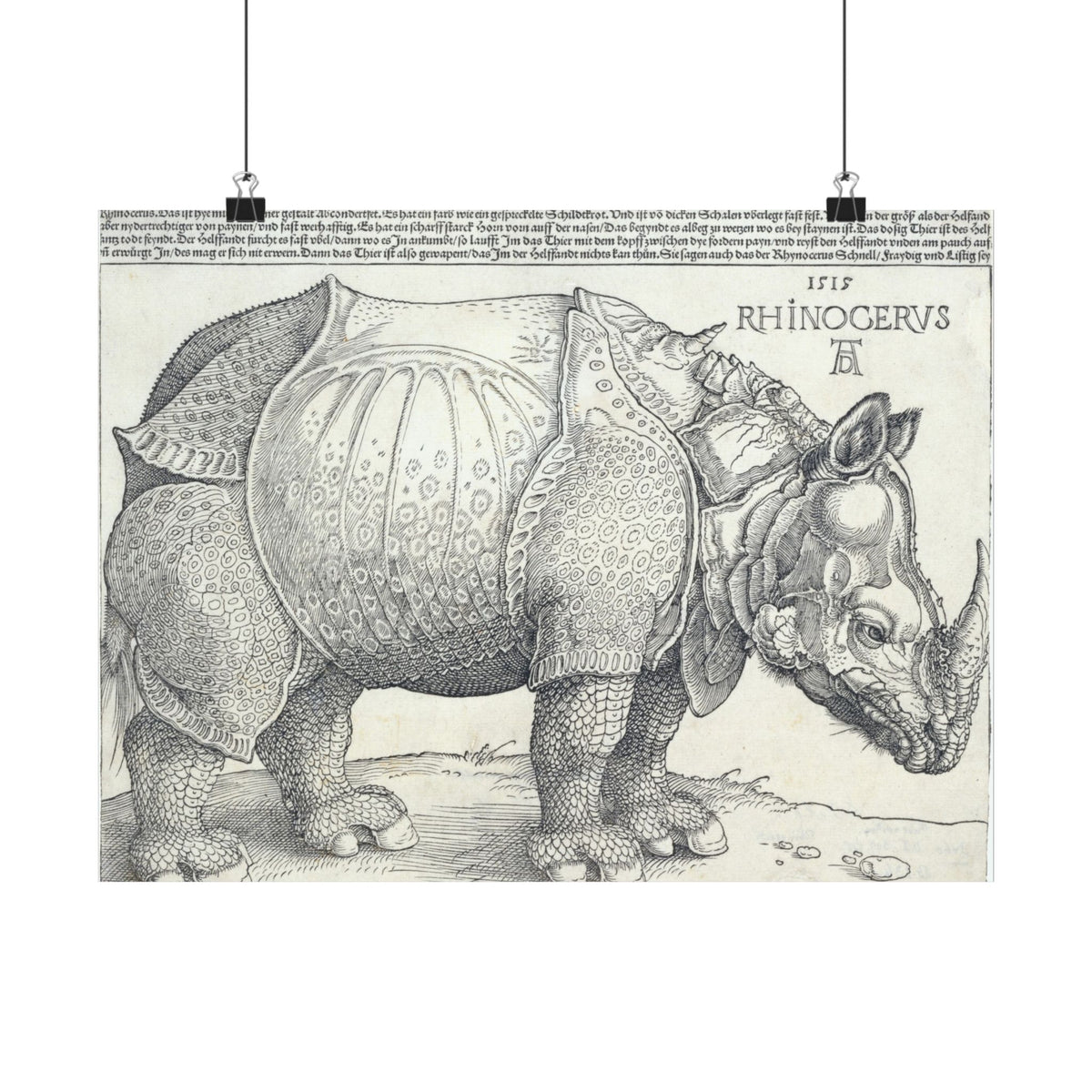 Albrecht Dürer 'The Rhinoceros' Poster