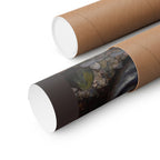 John William Waterhouse 'A Mermaid' Poster