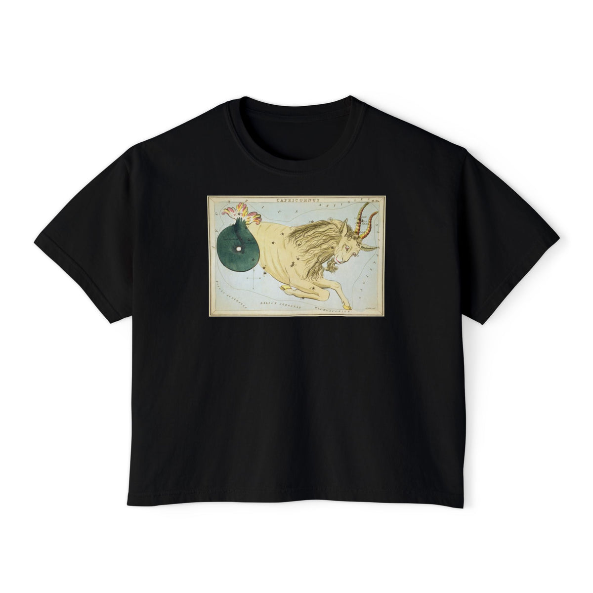 Capricorn Zodiac Boxy Tee