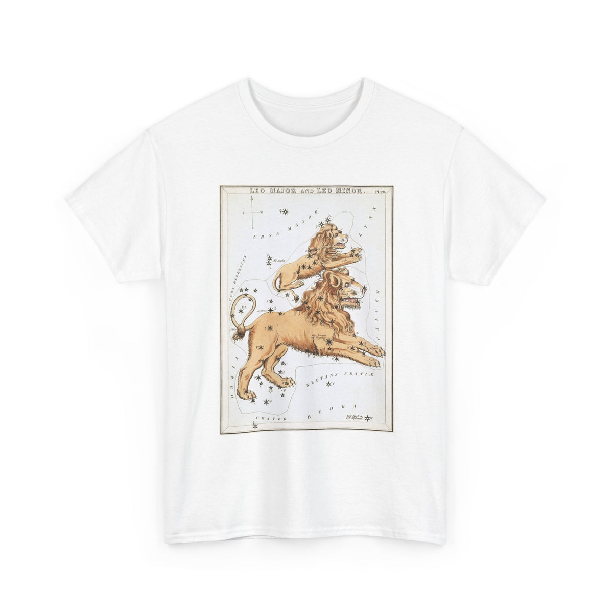 Leo Zodiac Shirt