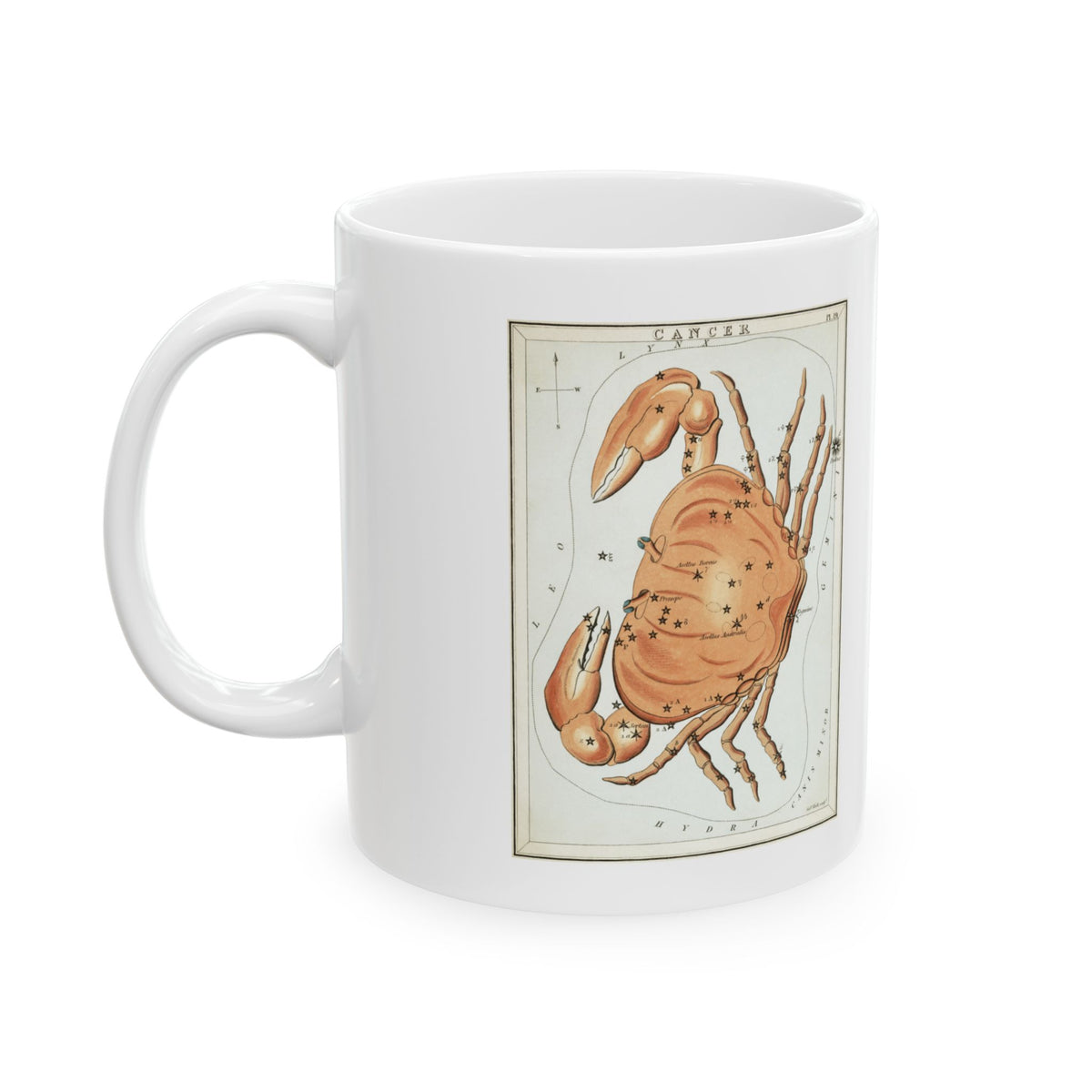 Cancer Zodiac Mug