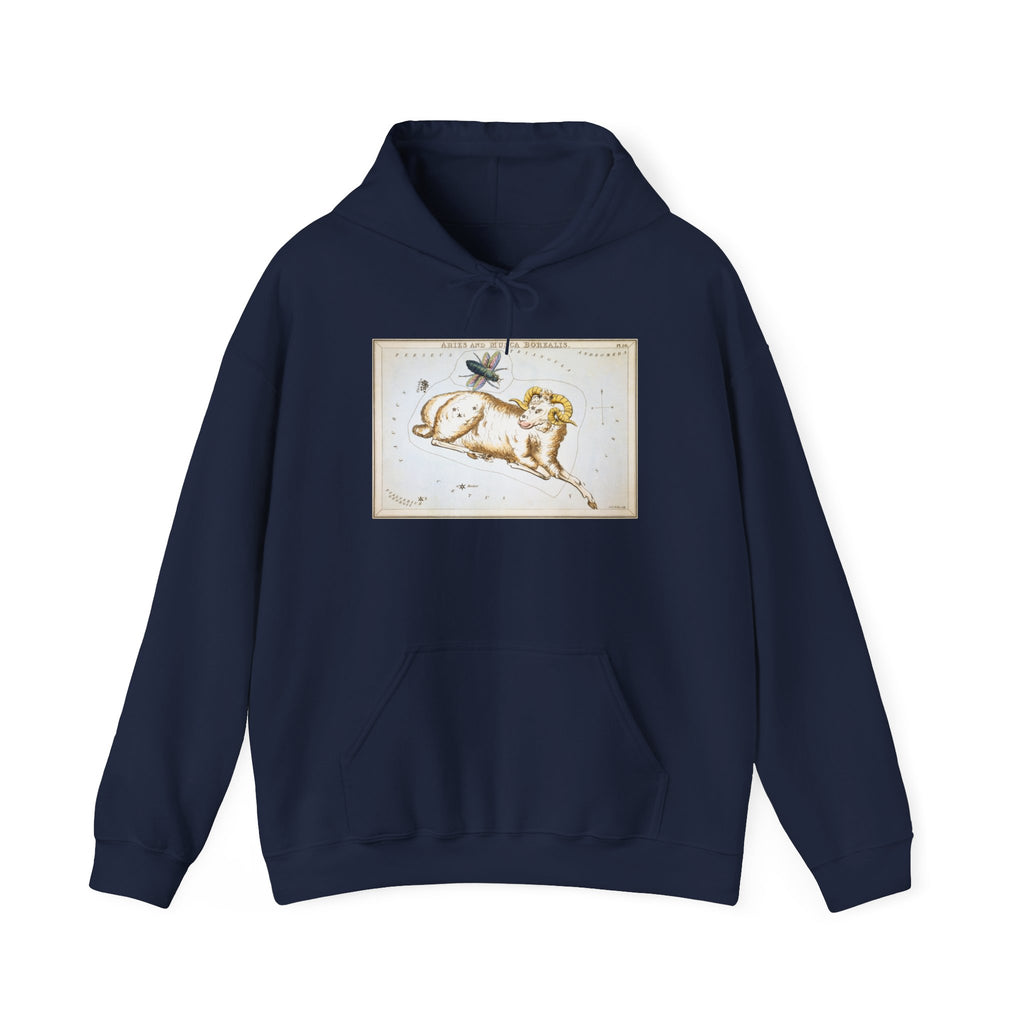 Aries Zodiac Hoodie
