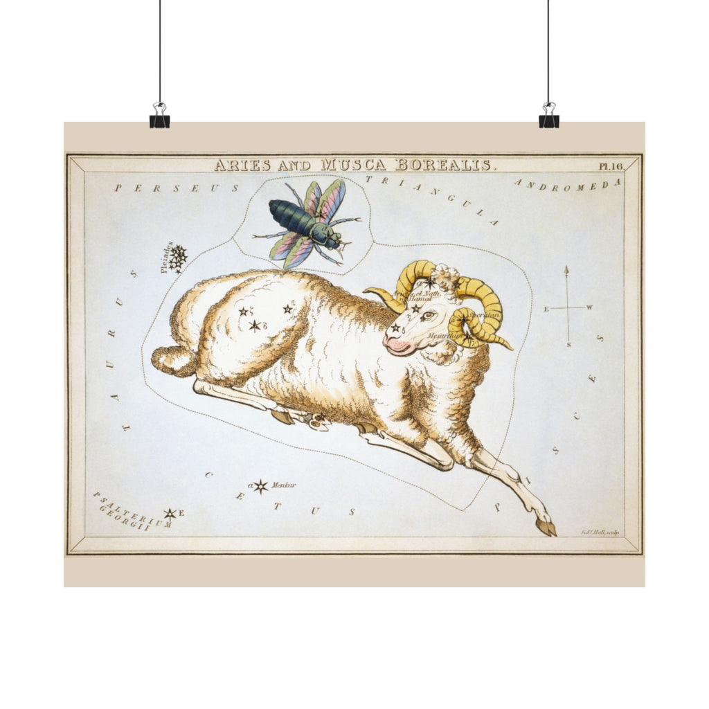 Sidney Hall 'Aries' Poster