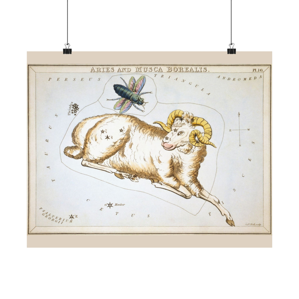 Sidney Hall 'Aries' Poster