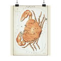 Sidney Hall 'Cancer' Poster