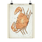 Sidney Hall 'Cancer' Poster