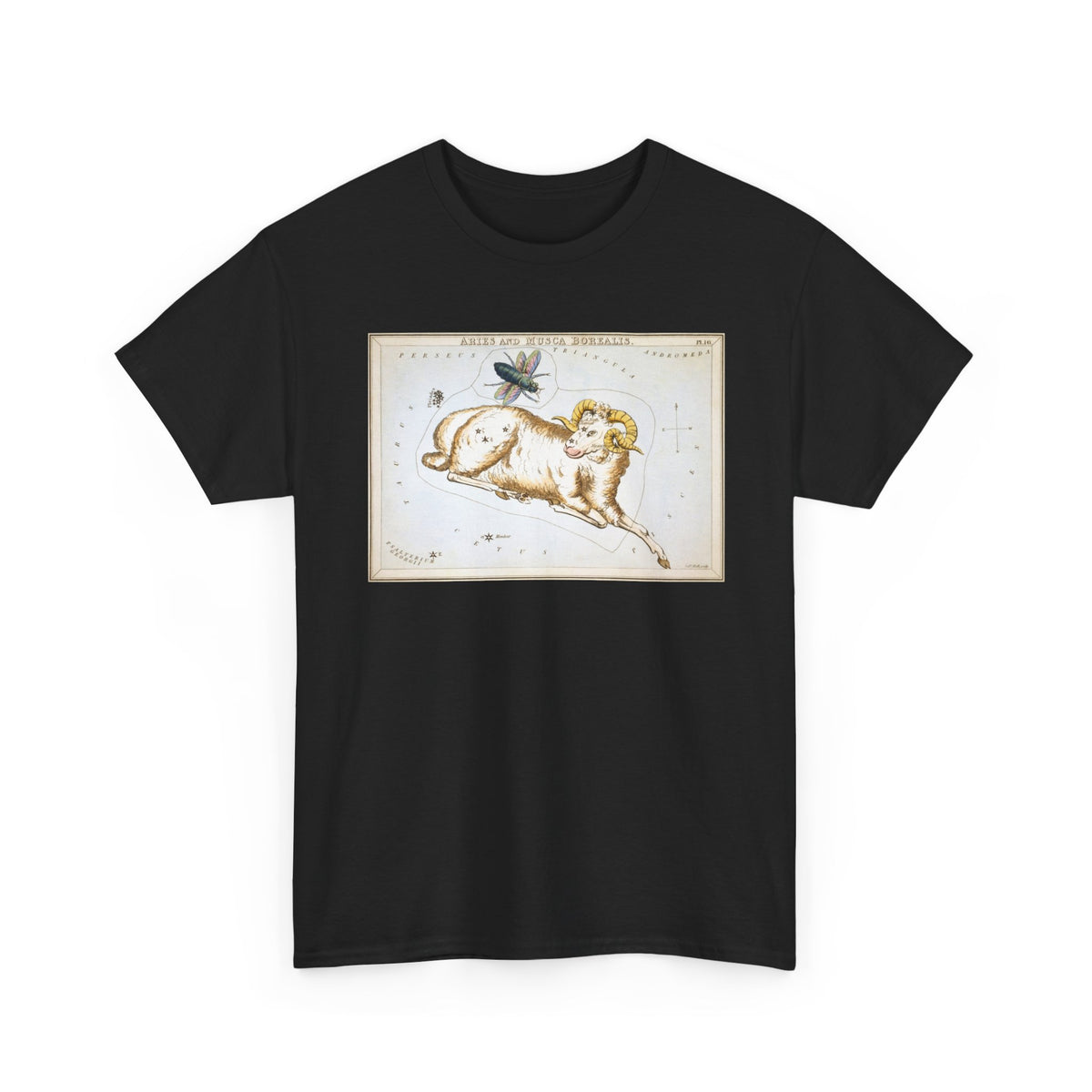 Aries Zodiac Shirt