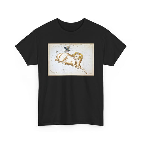 Aries Zodiac Shirt
