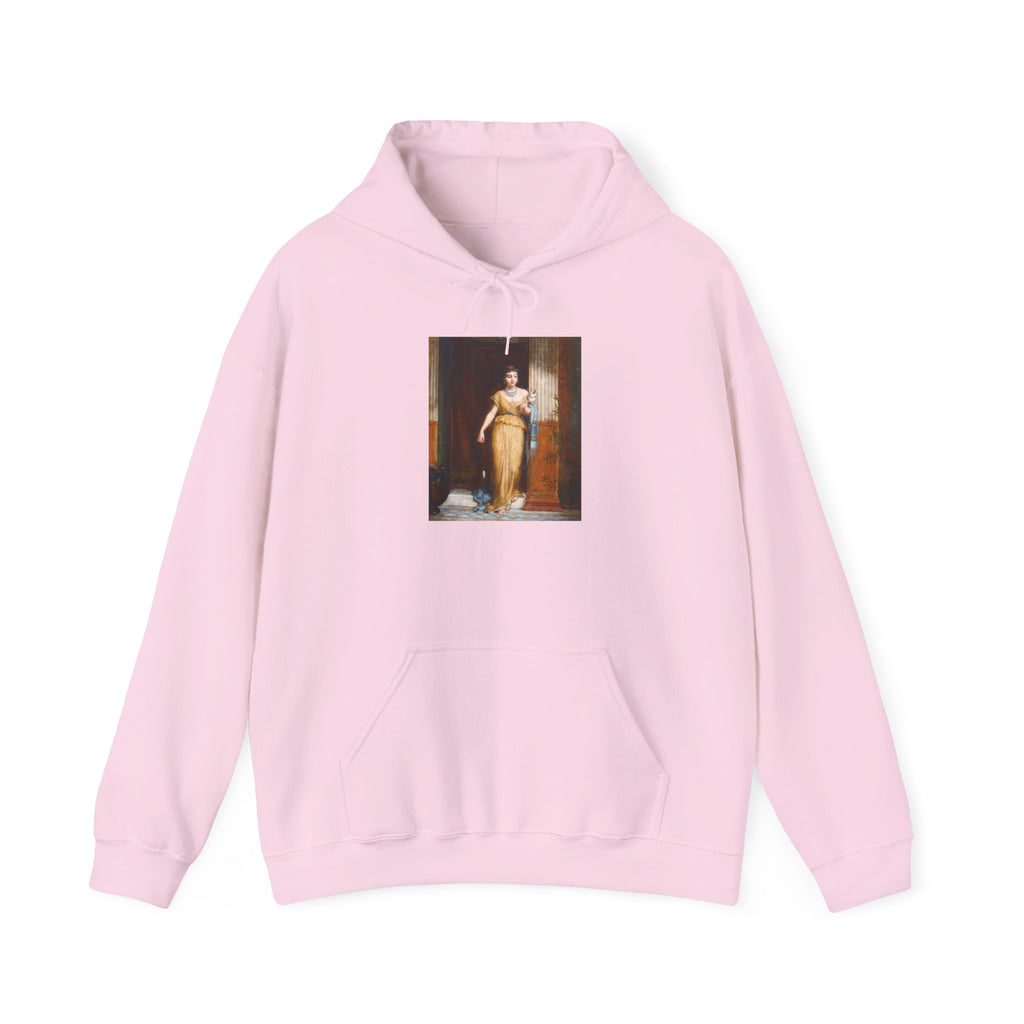 The Spinner Hoodie