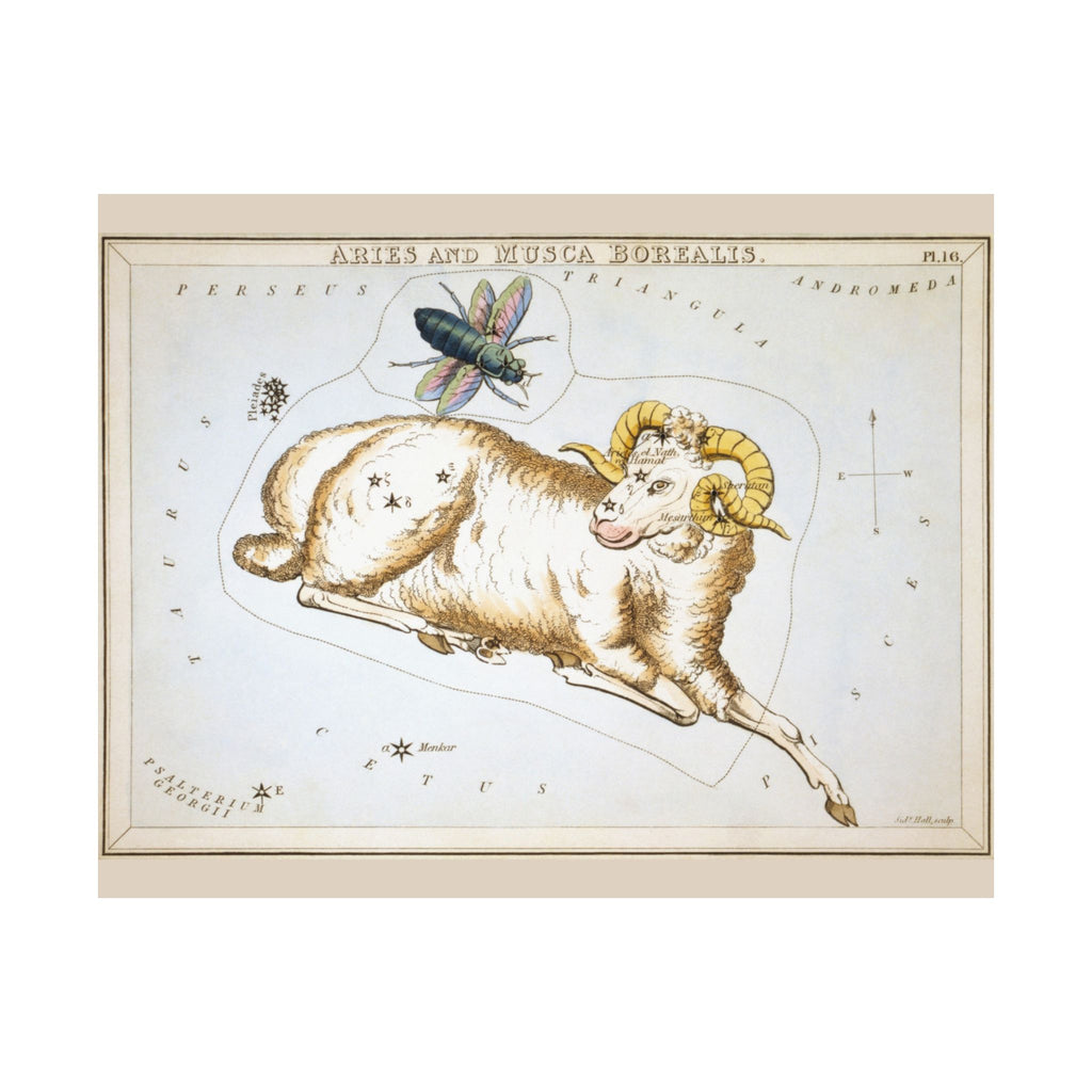 Sidney Hall 'Aries' Poster