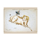 Sidney Hall 'Aries' Poster