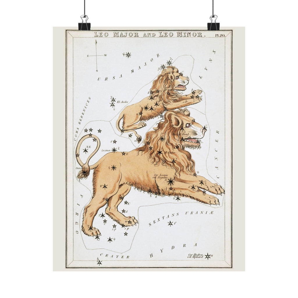 Sidney Hall 'Leo' Poster
