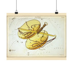 Sidney Hall 'Libra' Poster