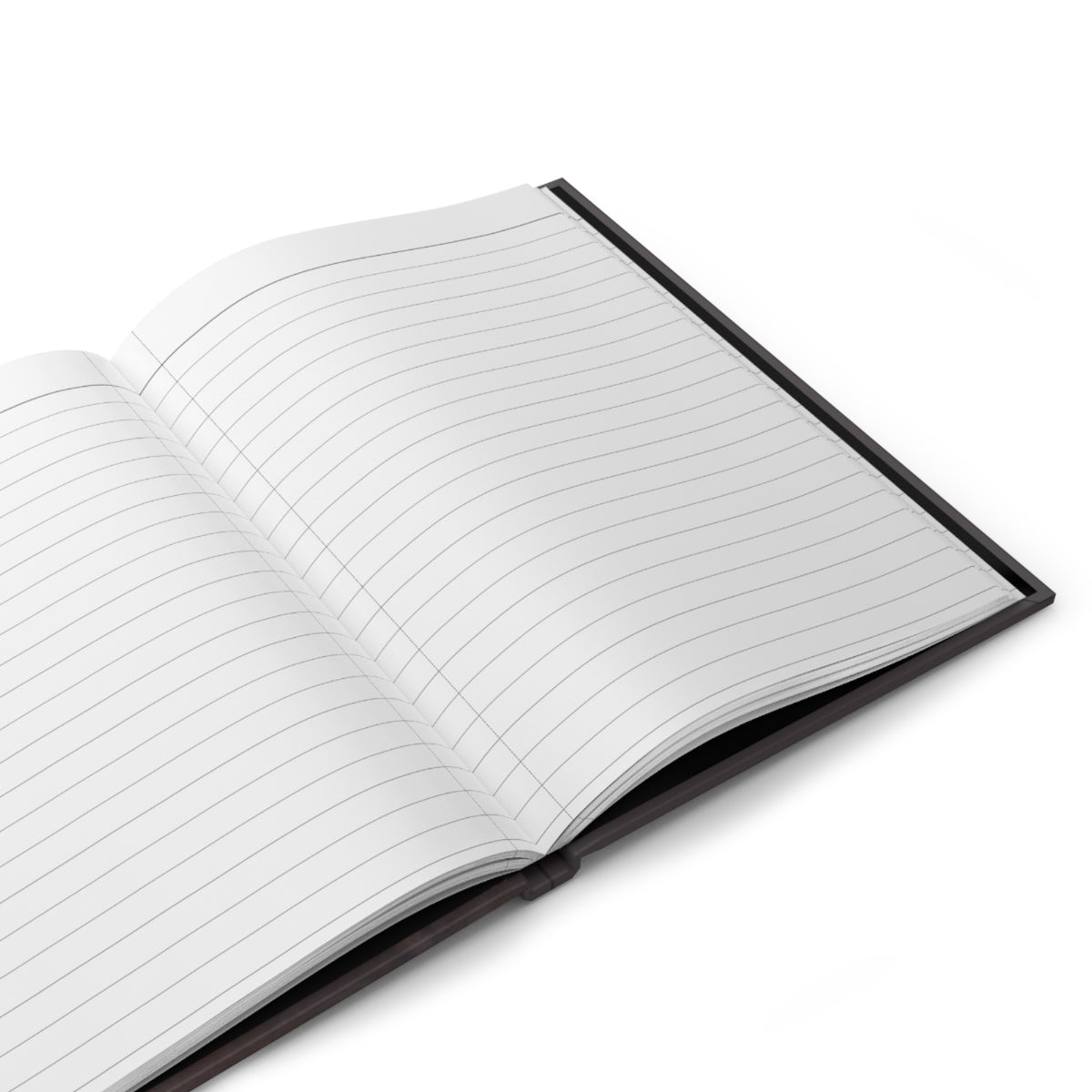 The Alchemist Journal: Study Notebook and Grimoire