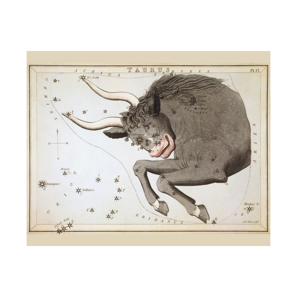 Sidney Hall 'Taurus' Poster