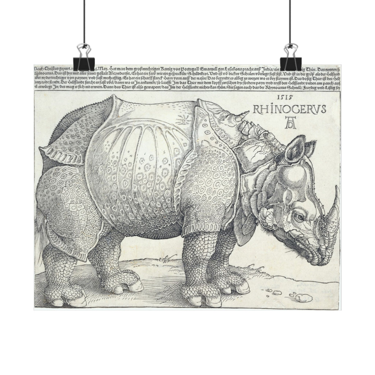 Albrecht Dürer 'The Rhinoceros' Poster