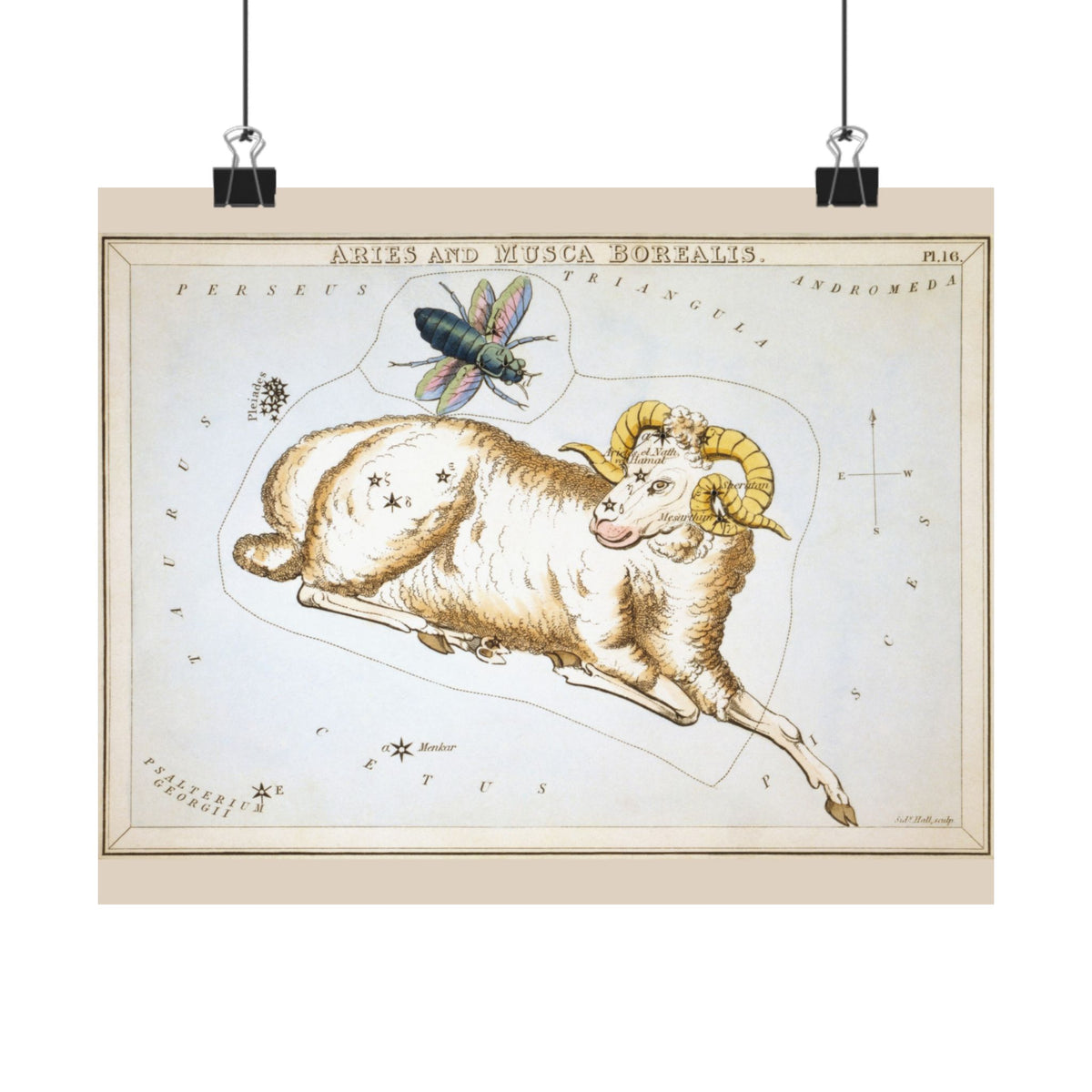 Sidney Hall 'Aries' Poster